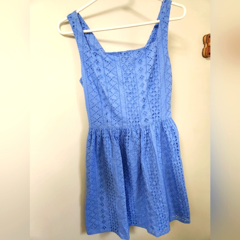 Lacey Fit and Flare Dress